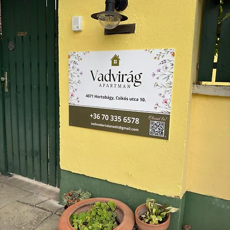 Vadvirág Hortobágy